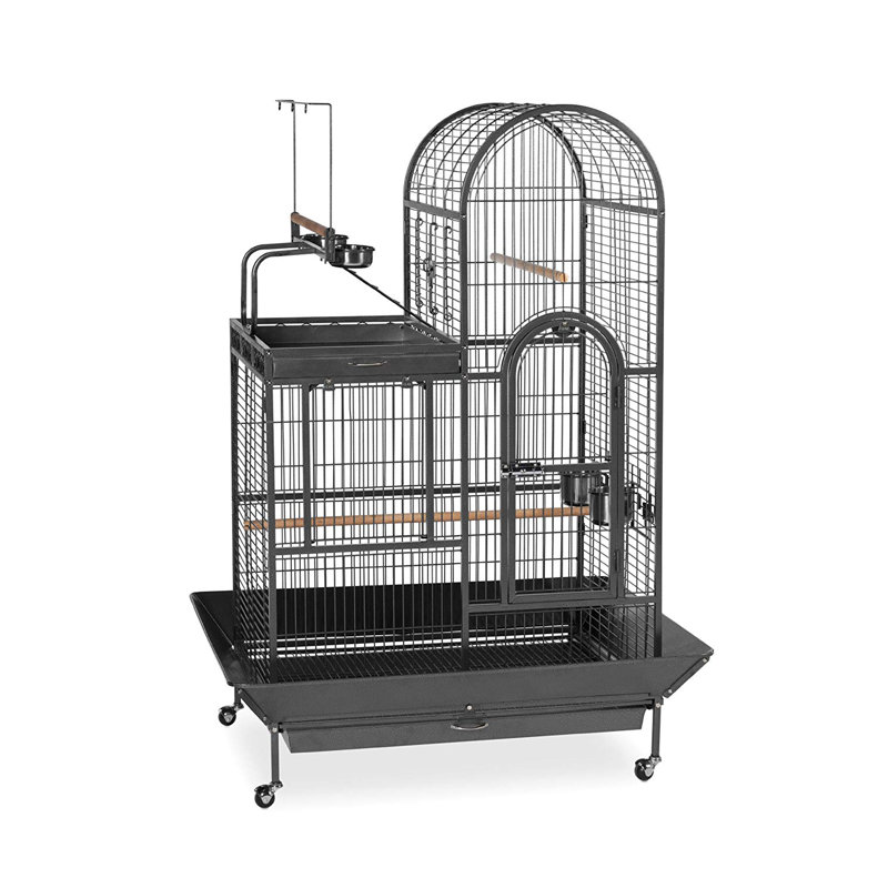 Archie Oscar Eli Deluxe Parrot Bird Cage With Play Top Reviews