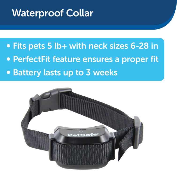 tractor supply petsafe collar