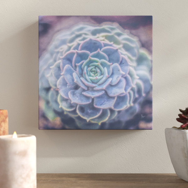 Bungalow Rose Succulent Cactus Flower Painting Print On Wrapped
