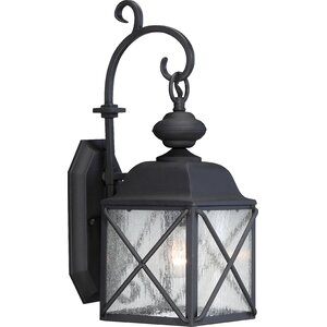 Topeka 1-Light Outdoor Wall Lantern
