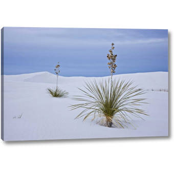 East Urban Home Sands National Monument New Mexico Photographic Print On Canvas Wayfair