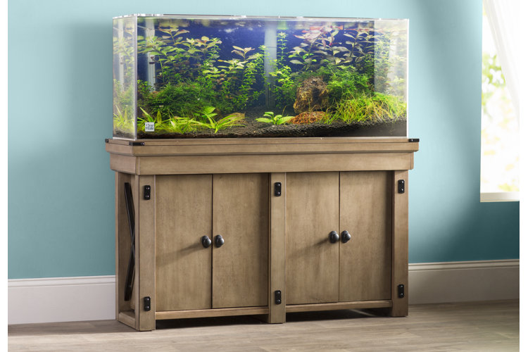 Lijkt op Omgaan met solidariteit The Best Fish Tanks for Your Home or Office | Wayfair