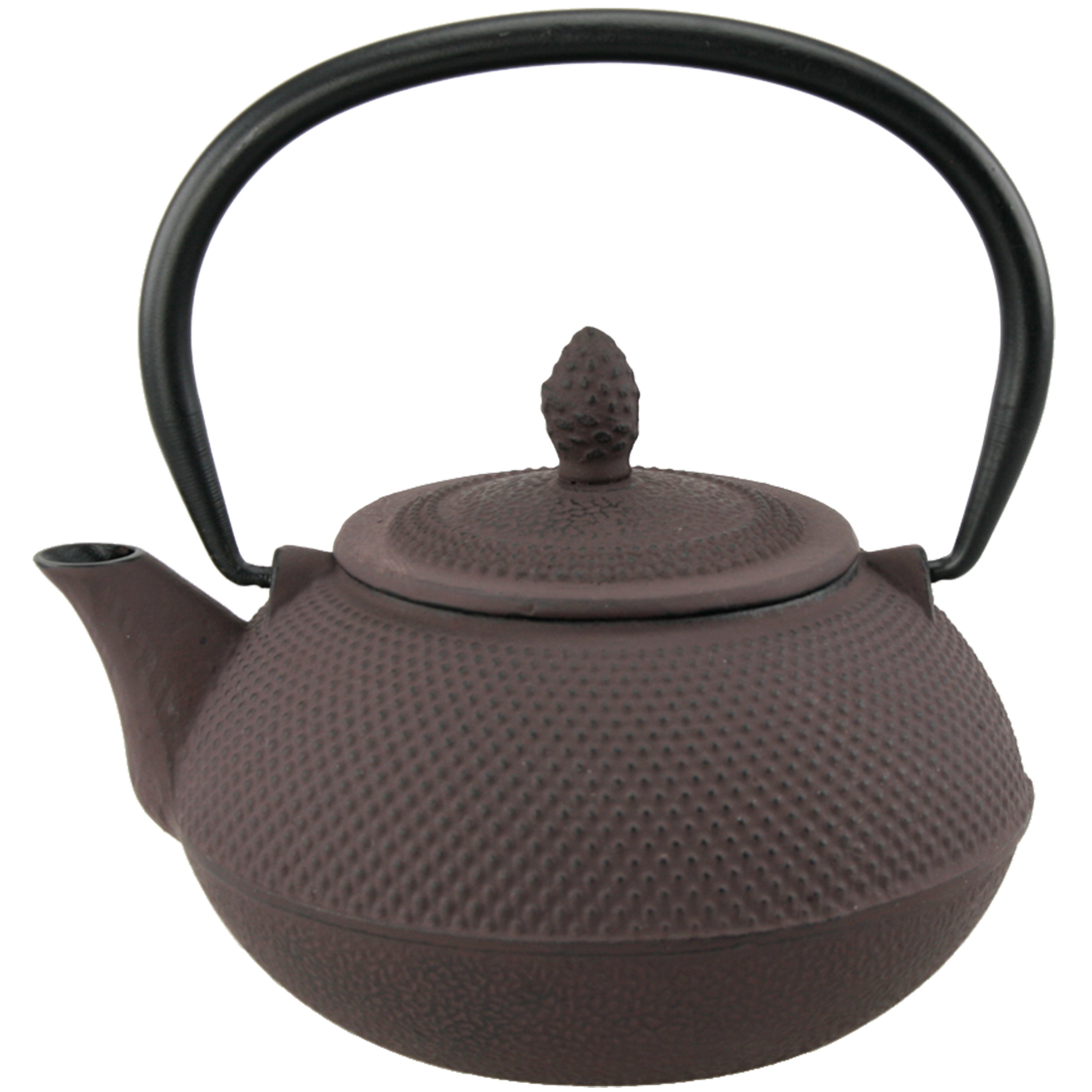 Creative Home Kyusu 0.94qt Cast Iron Teapot & Reviews Wayfair