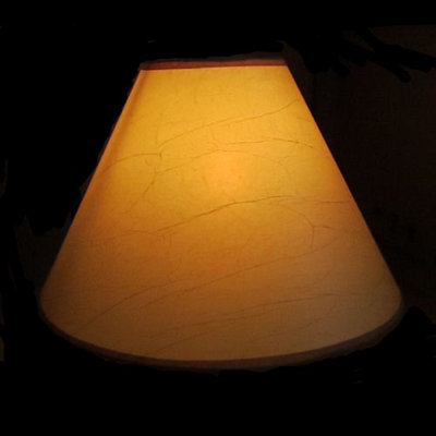 11" H x 18" W Paper Empire Lamp Shade ( Spider ) Millwood Pines