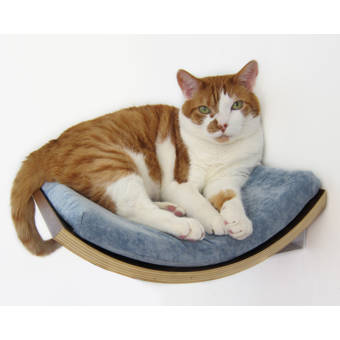 Tucker Murphy Pet 5 Myra Curve Wall Mounted Cat Perch Wayfair