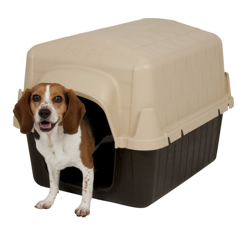 petbarn dog crates