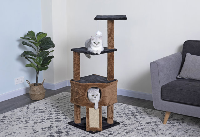 Top-Rated Cat Trees