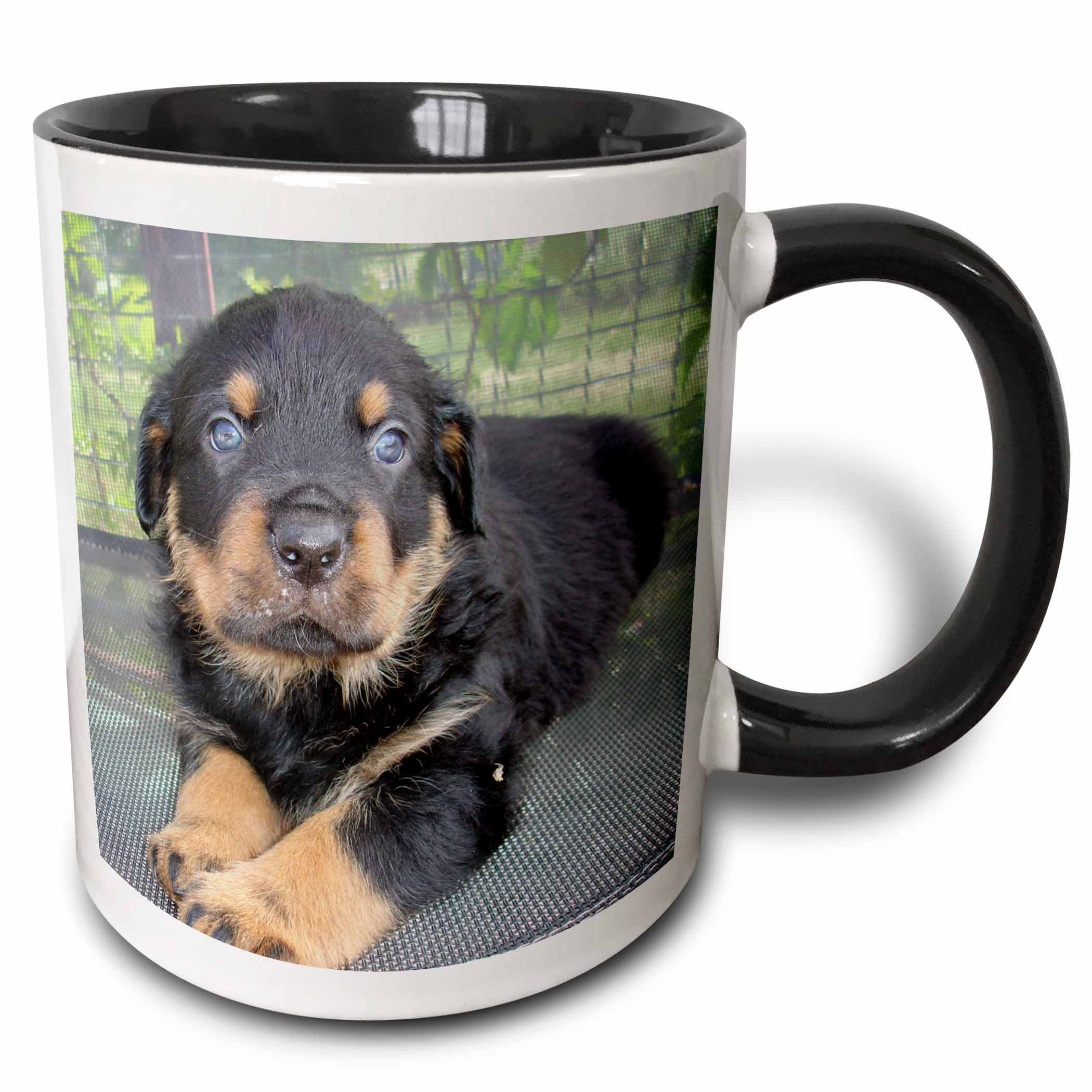 rottweiler coffee mugs
