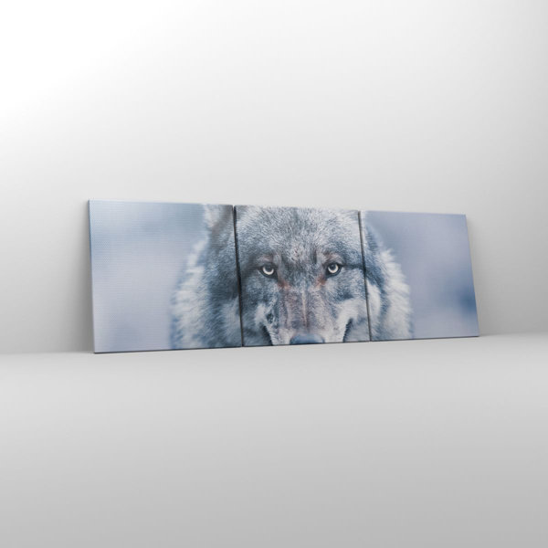 Union Rustic Canvas Picture (CA) 5073 Wolf Predator Wildness - 3 Piece ...