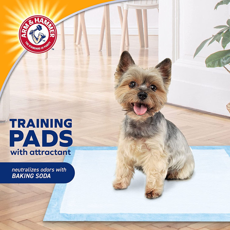 arm and hammer pee pads