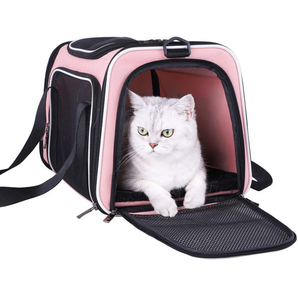 cat shoulder carrier