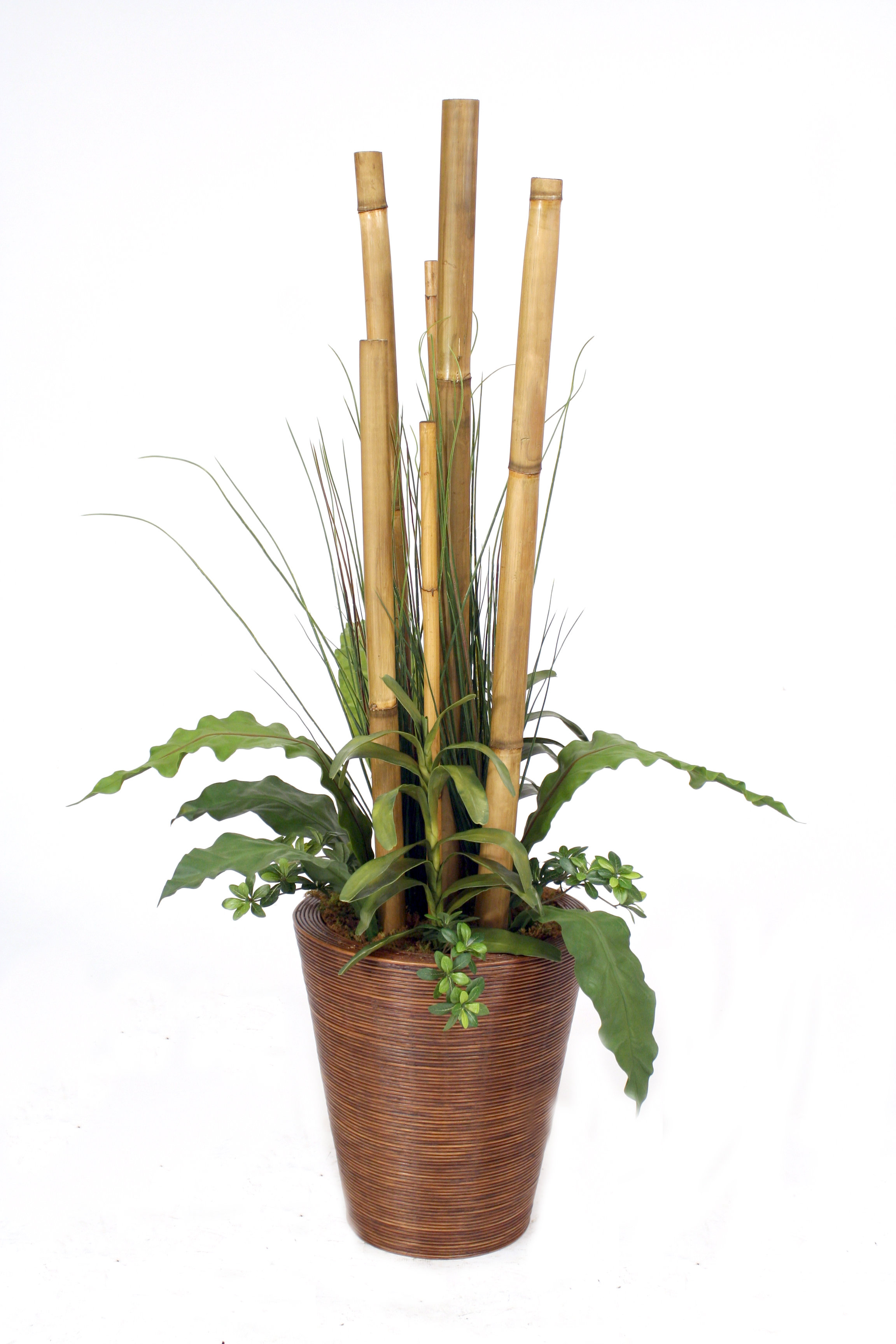 wayfair balcony planters on Distinctive Designs Bamboo Poles Tropical Leaves Grass Floor Plant In Planter Wayfair