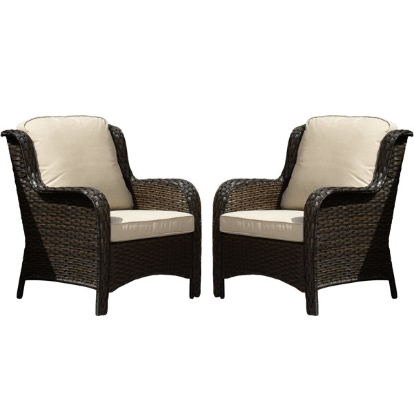Rattan Chair With Cushion Wayfair