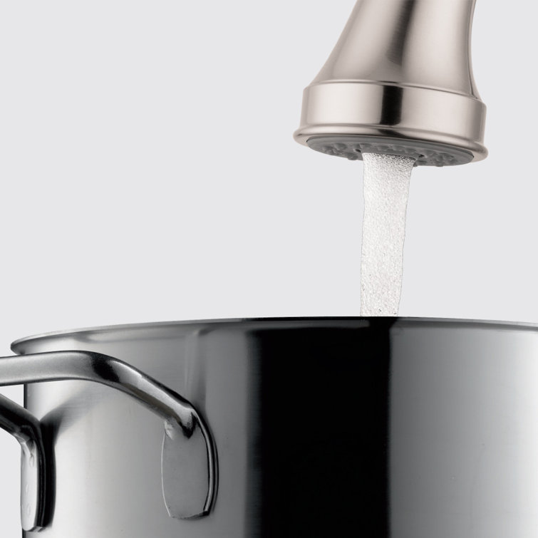 Hansgrohe Talis C Pull Down Single Handle Kitchen Faucet ...