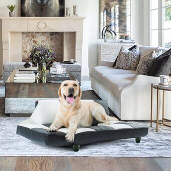 luxury dog couch