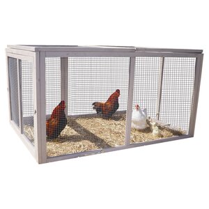 Extreme Hen Chicken Run