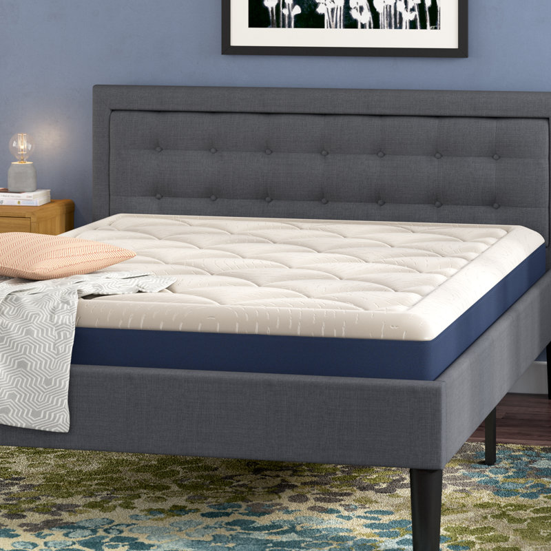 Alwyn Home Fresnel Premium 8 Plush Memory Foam Mattress Reviews Wayfair