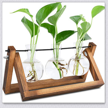 3PCS Hydroponic Vase with Retro Wooden Stand Propagation Stations for Office 