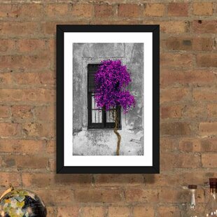 Tree in Front of Window Graphic Art review