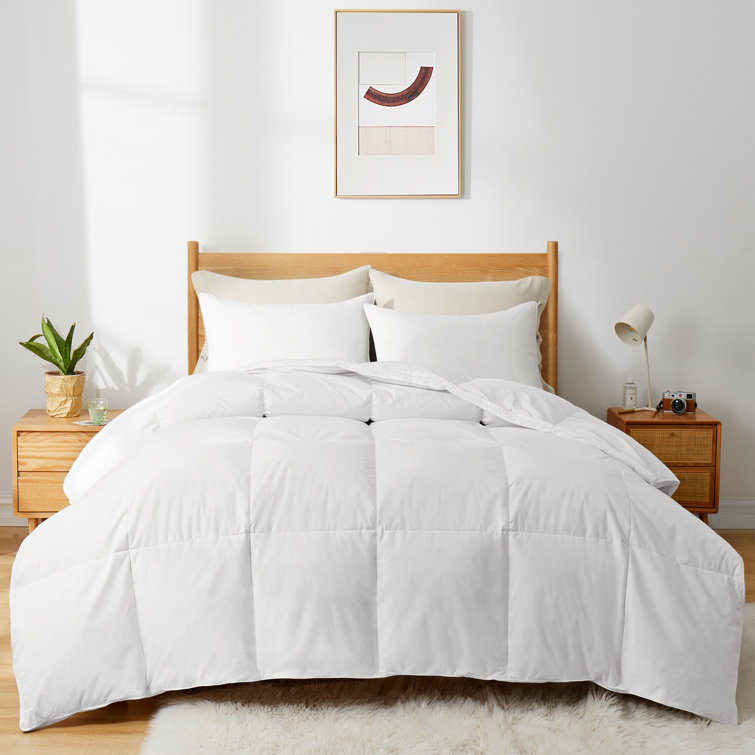 winter feather duvet