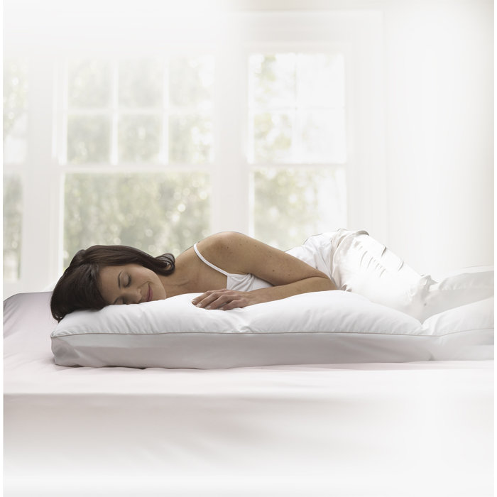 Sleep Innovations Embrace Gel Memory Foam Body Pillow Reviews