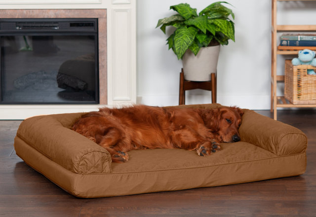 In-Stock Dog Beds