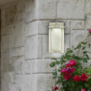 Best Ybanez Contemporary 1-Light Outdoor Wall Lantern By Brayden Studio Outdoor Lighting Ybanez Contemporary 1-Light Outdoor Wall Lantern By Brayden Studio Outdoor Lighting