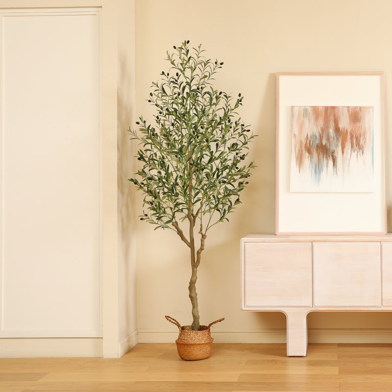 Adcock Artificial Olive Tree In Handmade Seagrass Basket, Perfect Tall Fake Olive Plant Size: 84'' H x 27'' W x 27'' D