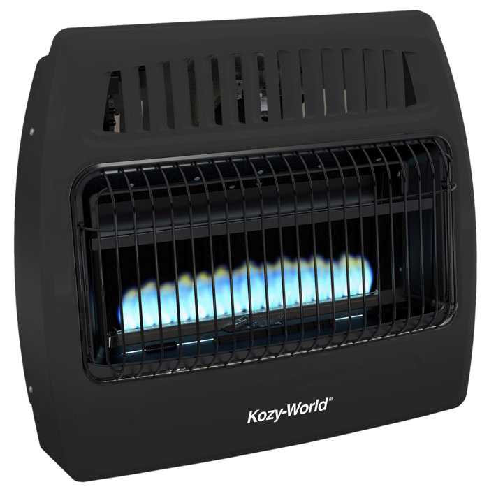 Comfort Glow 30,000 BTU Natural Gas/Propane Convection ...