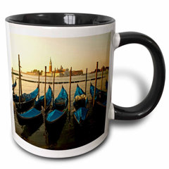 Coffee Mugs Made In Italy Wayfair Ca