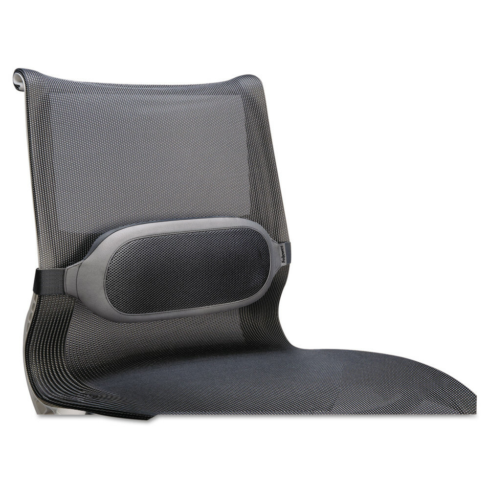 lower lumbar cushion