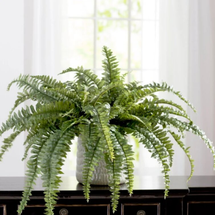 Primrue 34 Artificial Fern Plant Reviews Wayfair   34%22 Artificial Fern Plant 