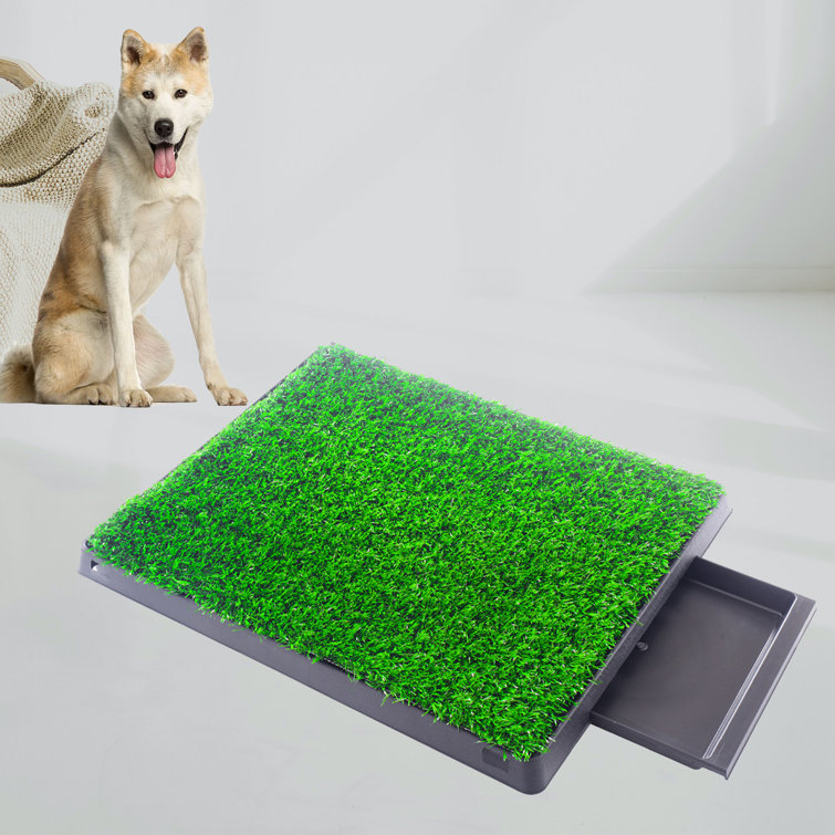 dog potty grass with tray