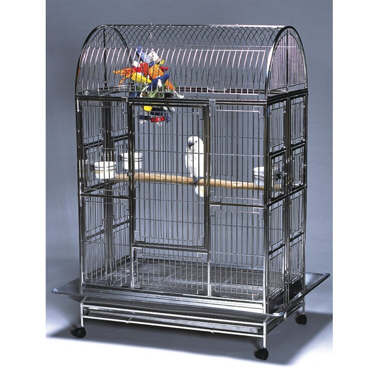 parrot cage craigslist