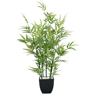 4ft Bambus Schilf Sticks 120cm Strong Professional Pflanzen Unterstützung Deko NEU 