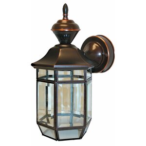 Lexington 1-Light Outdoor Wall Lantern