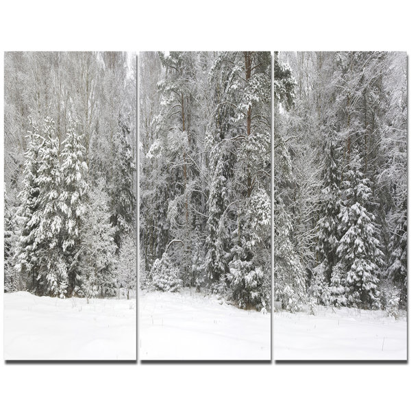 Designart Foggy Winter Forest Panorama Photographic Print Multi
