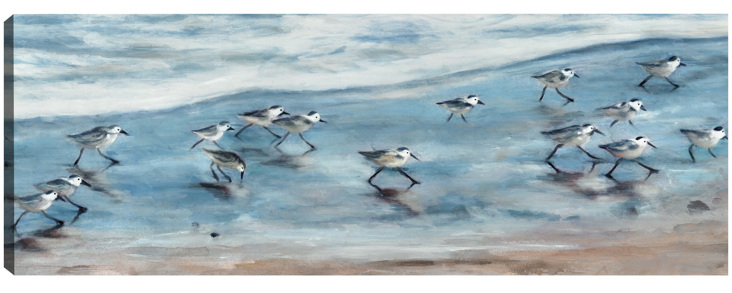 Highland Dunes Sandpipers I By Sandy Doonan Canvas Art Print | Wayfair