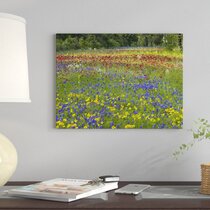 Texas Wall Clock 13 x 13 3dRose paintbrushes and Bluebonnets 