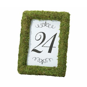 Moss Table Picture Frame