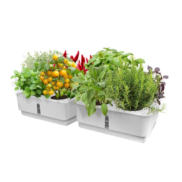 Plant Site Hydroponic Kit Garden Planters Seedling Pots Indoor Cultivation Box 