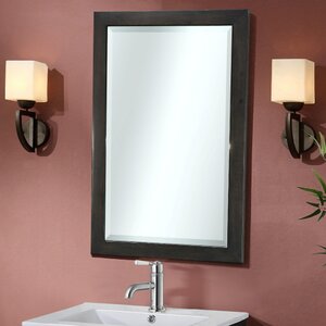 Lehigh Beveled Edged Wall Mirror