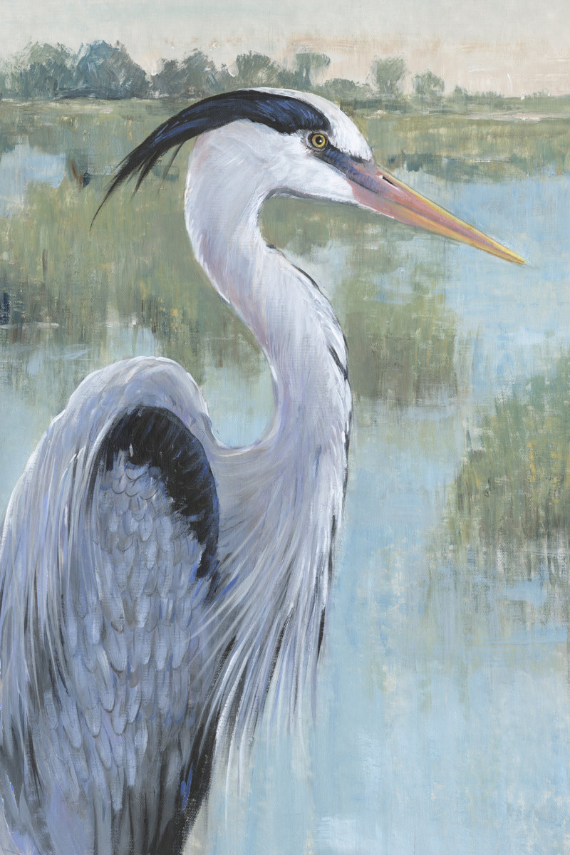 Blue Heron Portrait II by Timothy O' Toole - Wrapped Canvas Painting Format: Maple Framed Print, Mat Included: White, Size: 30" H x 20" W