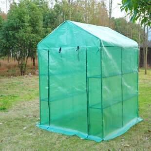 Bertha 4.5 Ft W X 4.5 Ft D Greenhouse By Sol 72 Outdoor