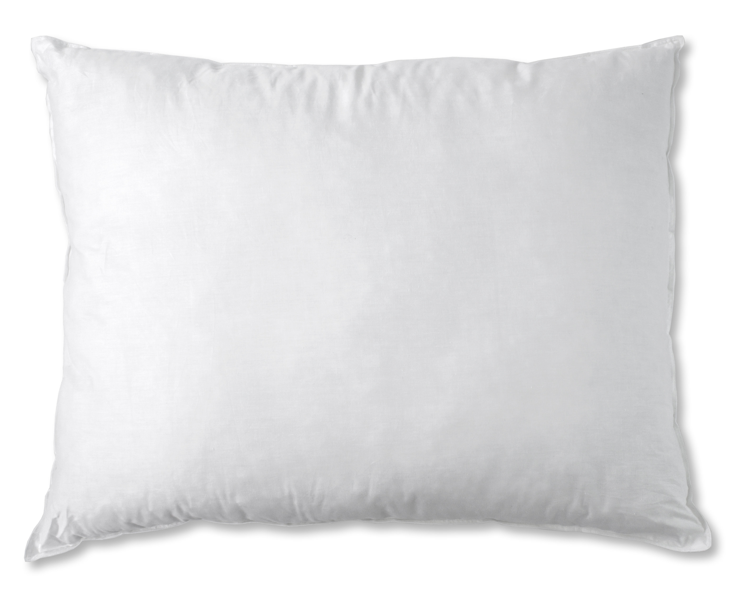 Alwyn Home Tevis Cotton Euro Pillow Reviews Wayfair