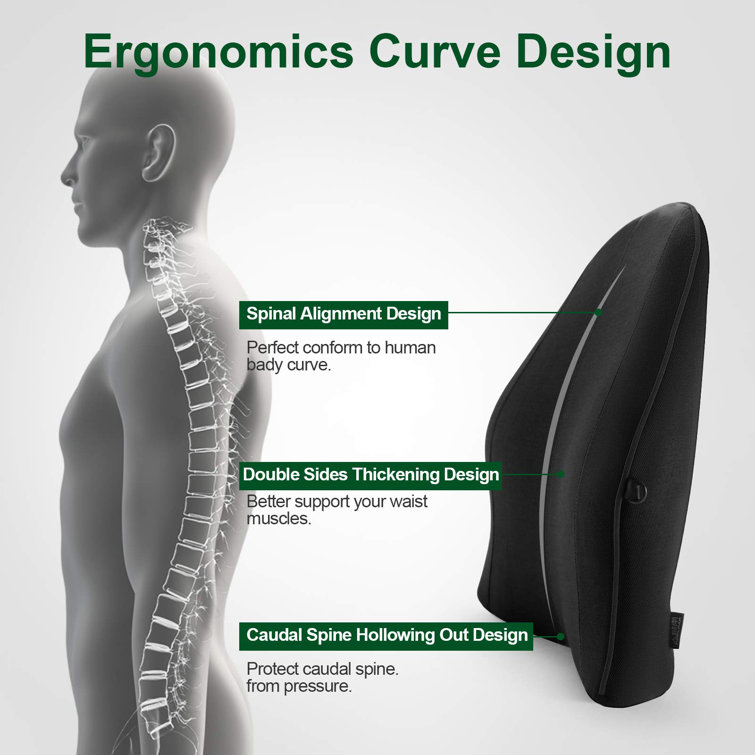ortho backrest cushion