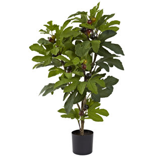 Artificial Fig Tree Wayfair Fig Tree In Pot