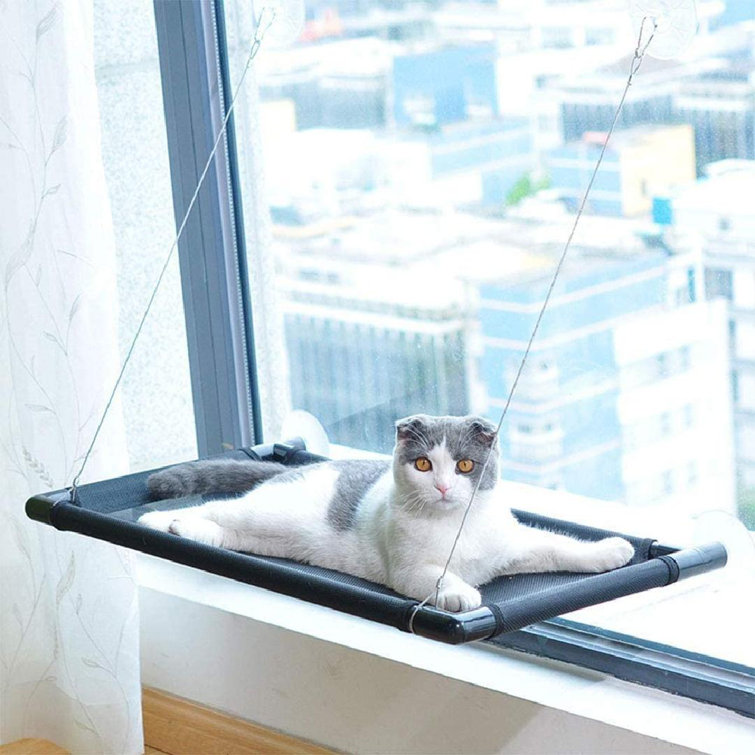 suction cat hammock