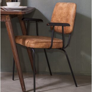 Eleonora Velvet Arm Chair | Wayfair