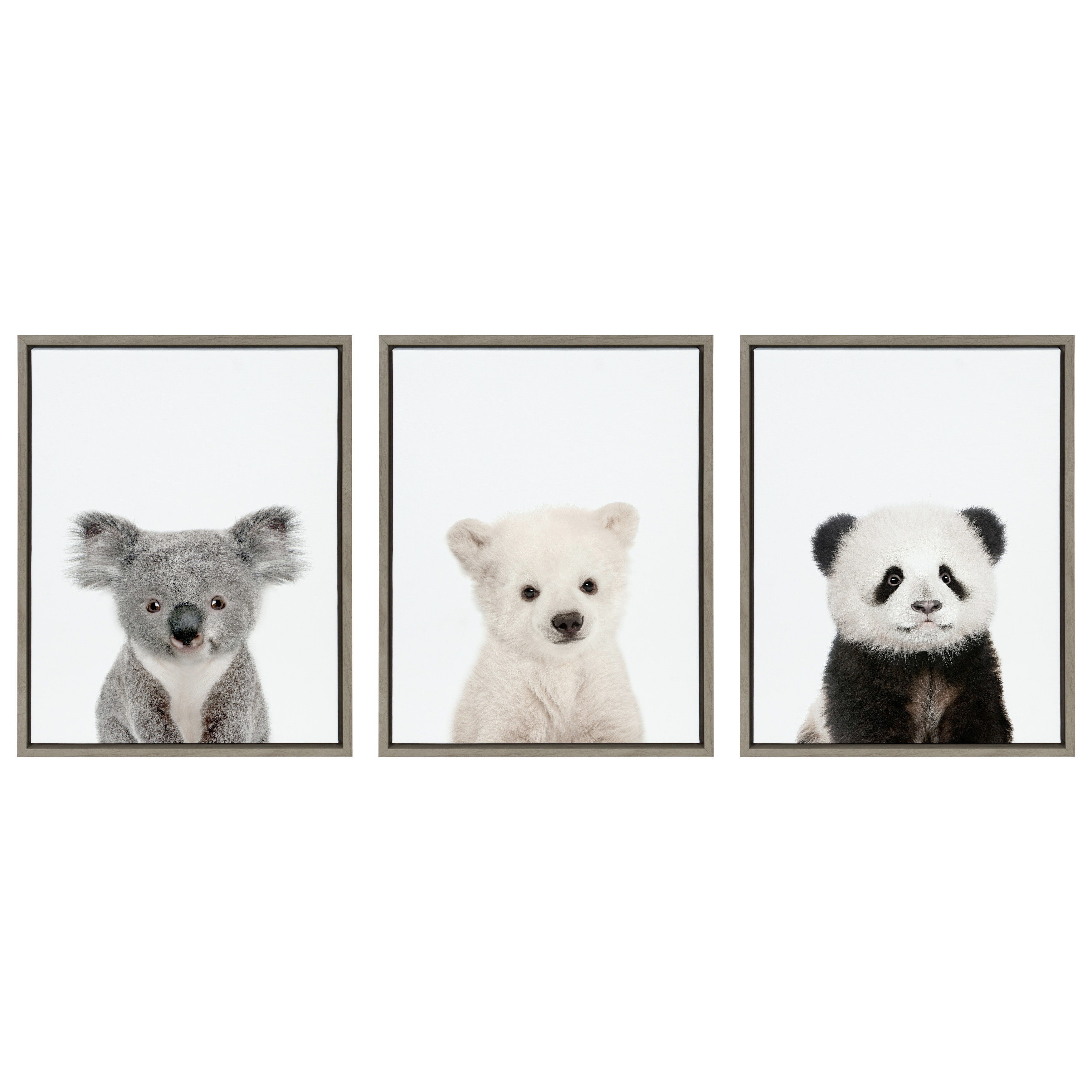 Isabelle Max Baby Polar Bear Baby Panda Bear Baby Koala Bear By Amy Peterson 3 Piece Floater Frame Photograph Set On Canvas Wayfair